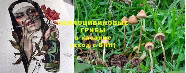 COCAINE Абинск