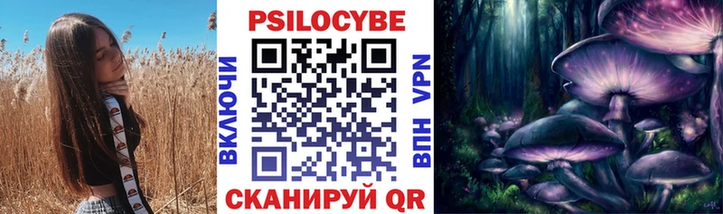 где продают наркотики  Холм  Галлюциногенные грибы Cubensis 